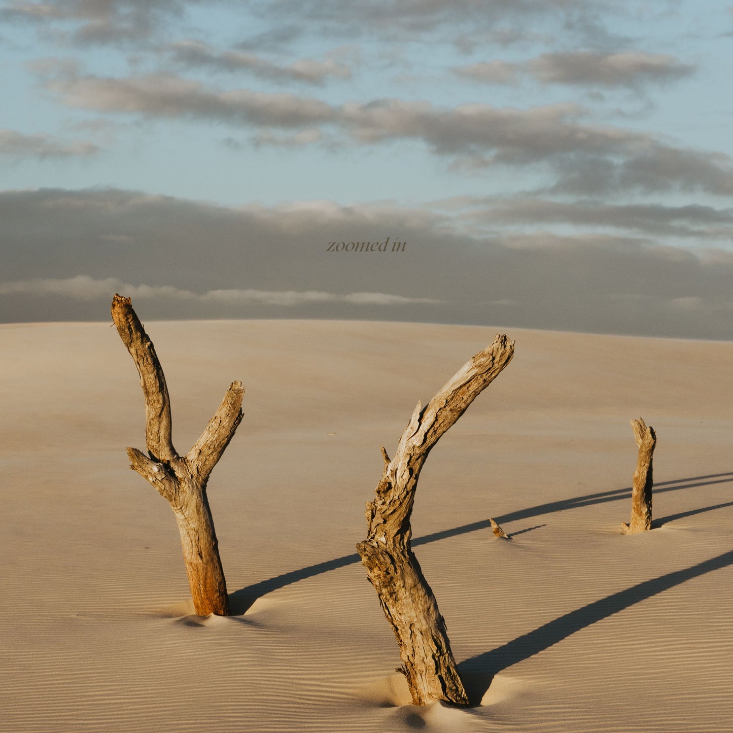 Echoes of the Dunes