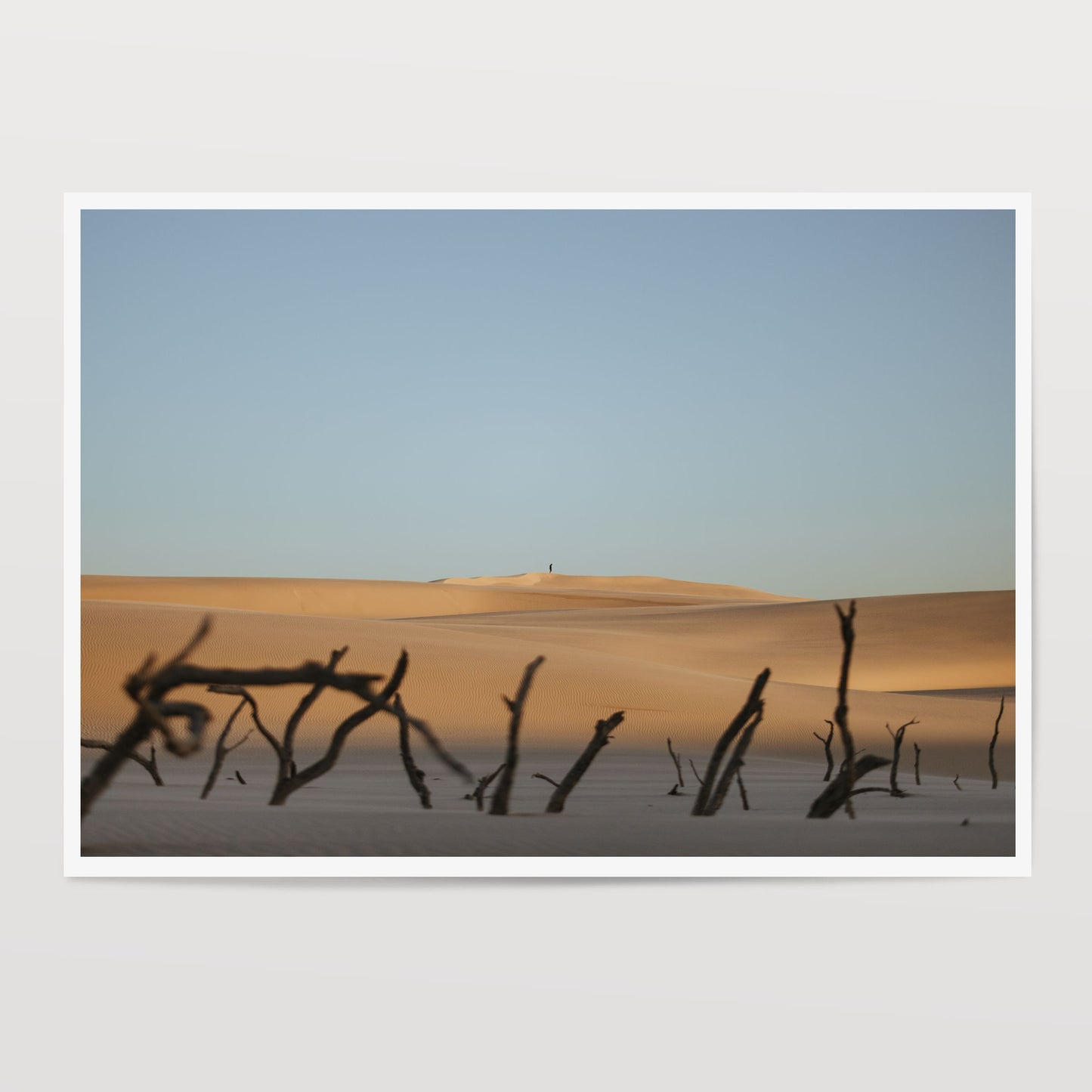 Keeper of the Dunes