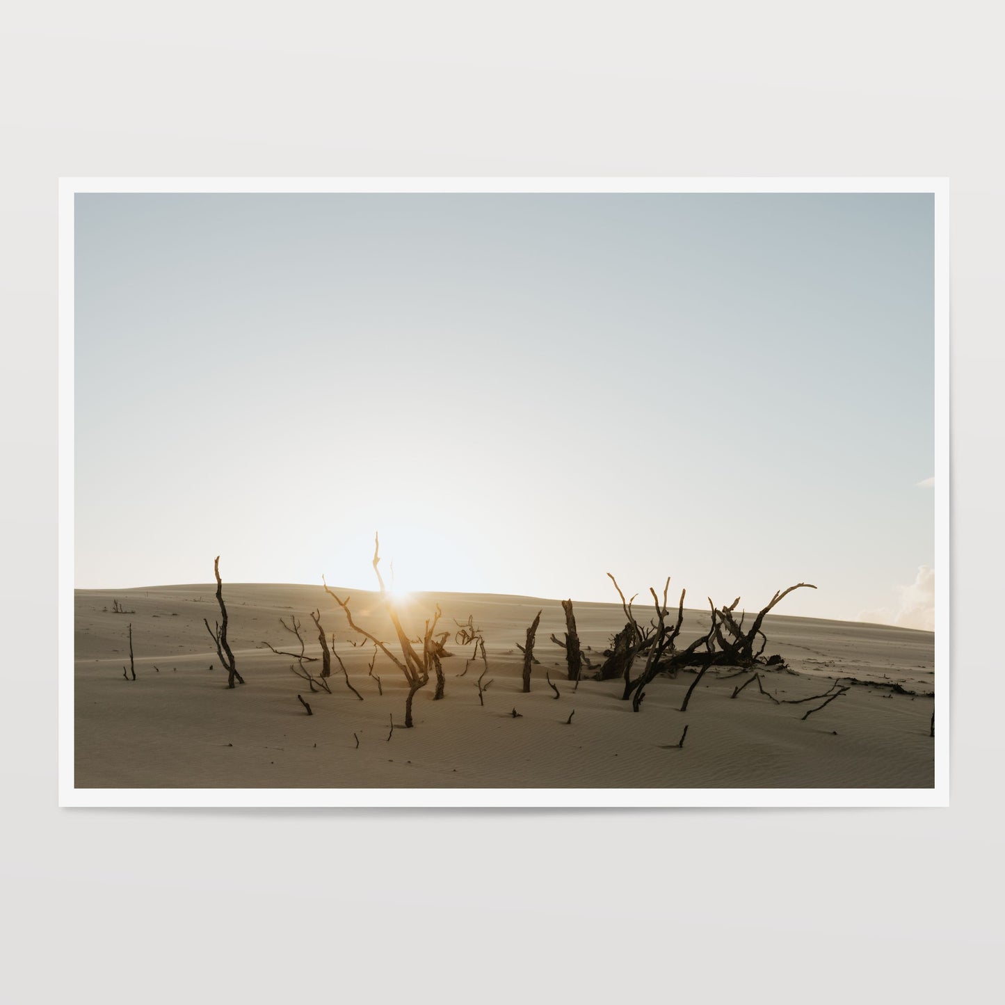Dunes Embrace