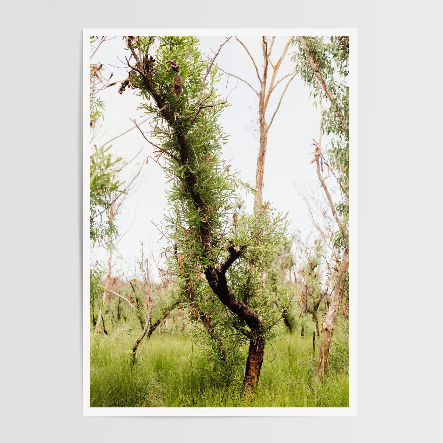 Healing Cycles Duo Print Set