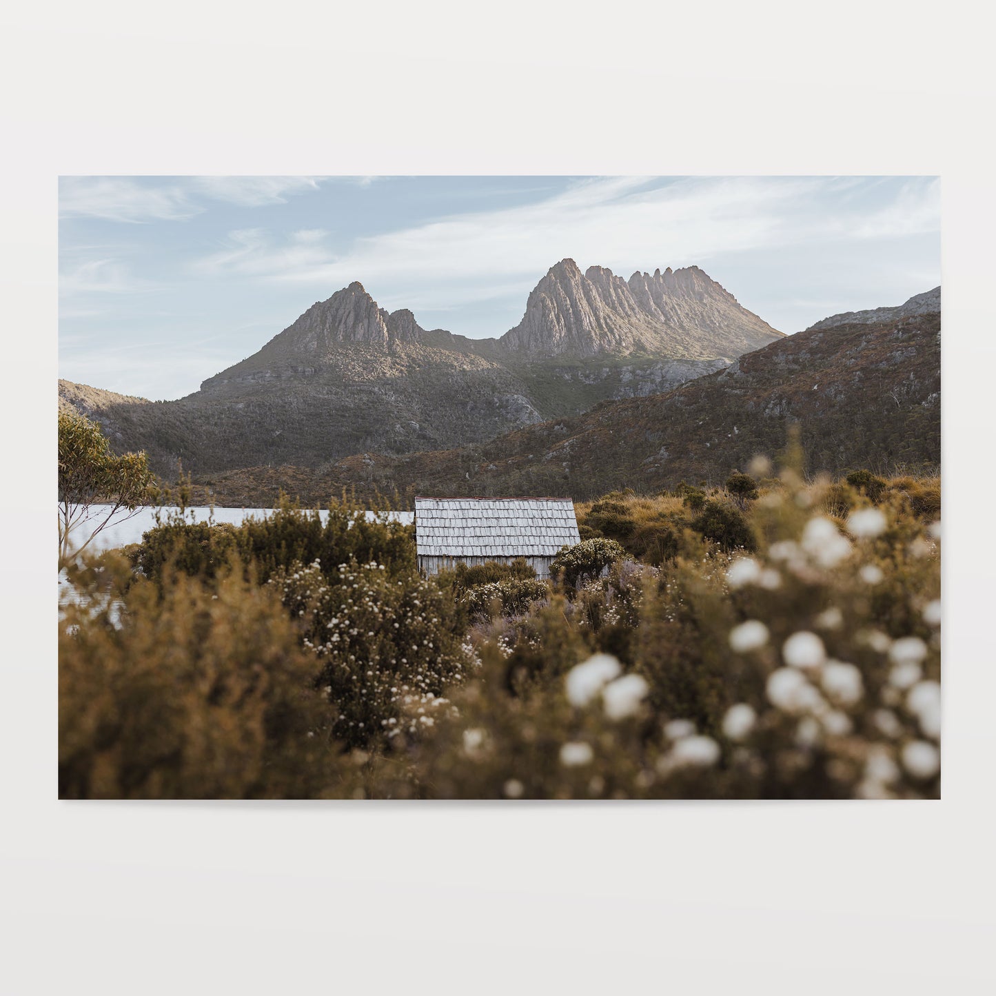 Cradle Mountain in Bloom