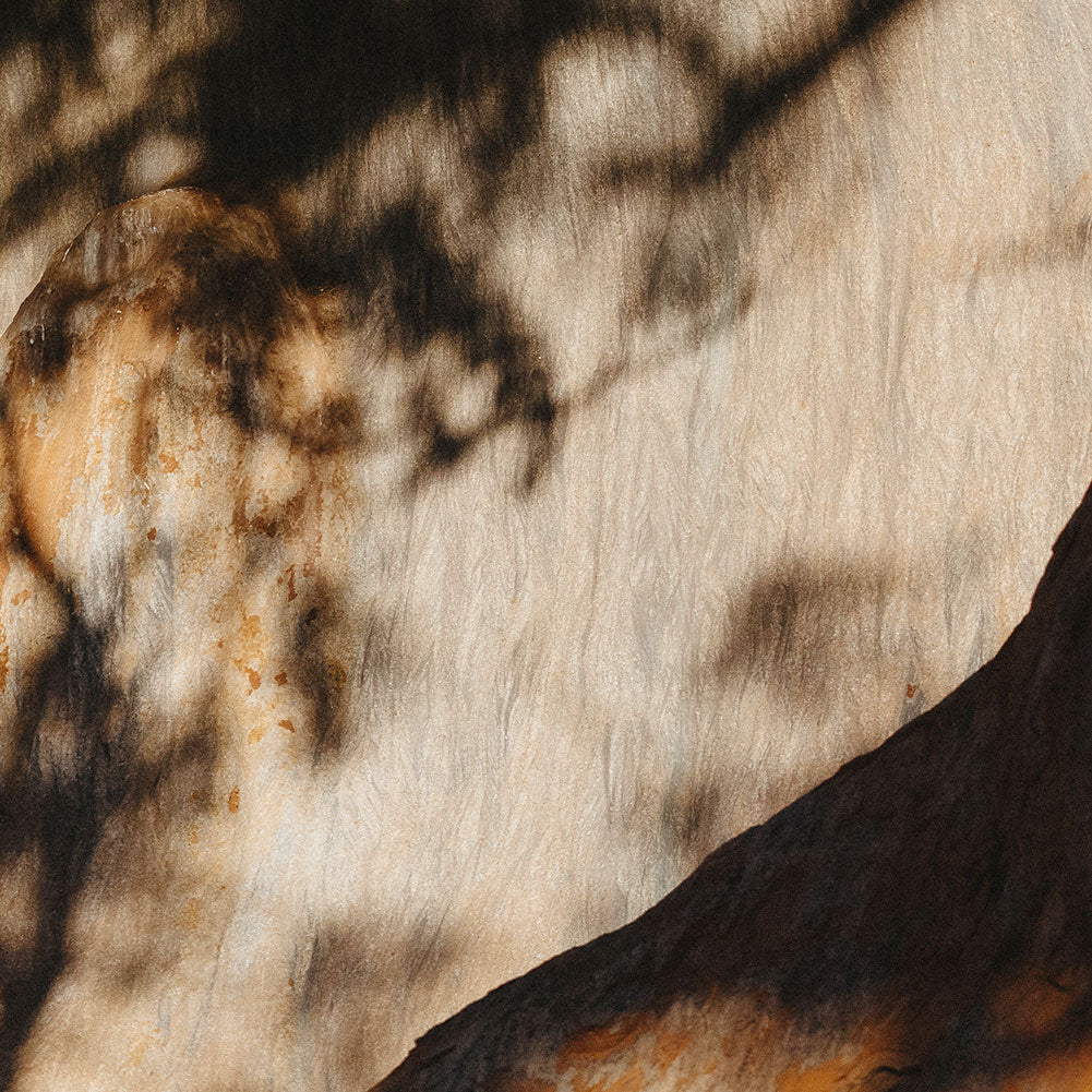 Shadow Wisdom