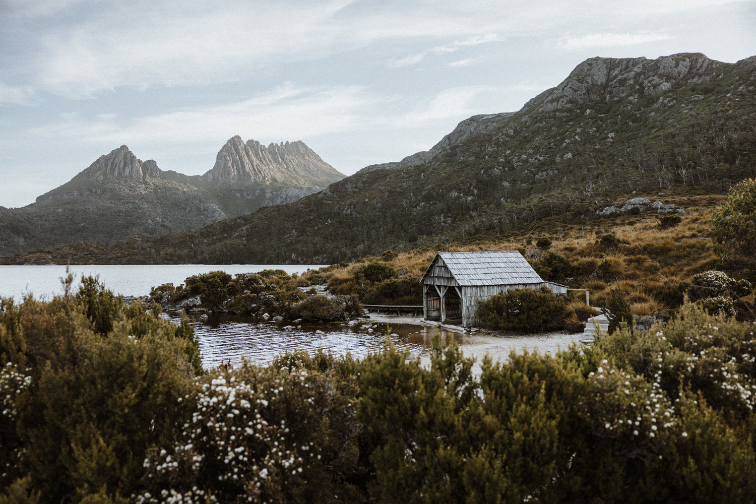 Transition | Cradle Mountain Tasmania