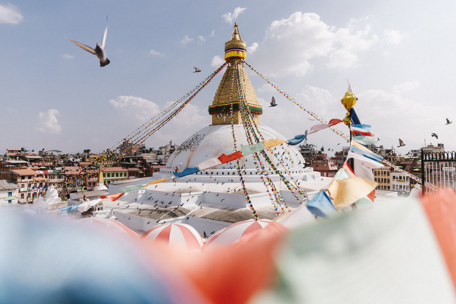 Ascension | Nepal Collection