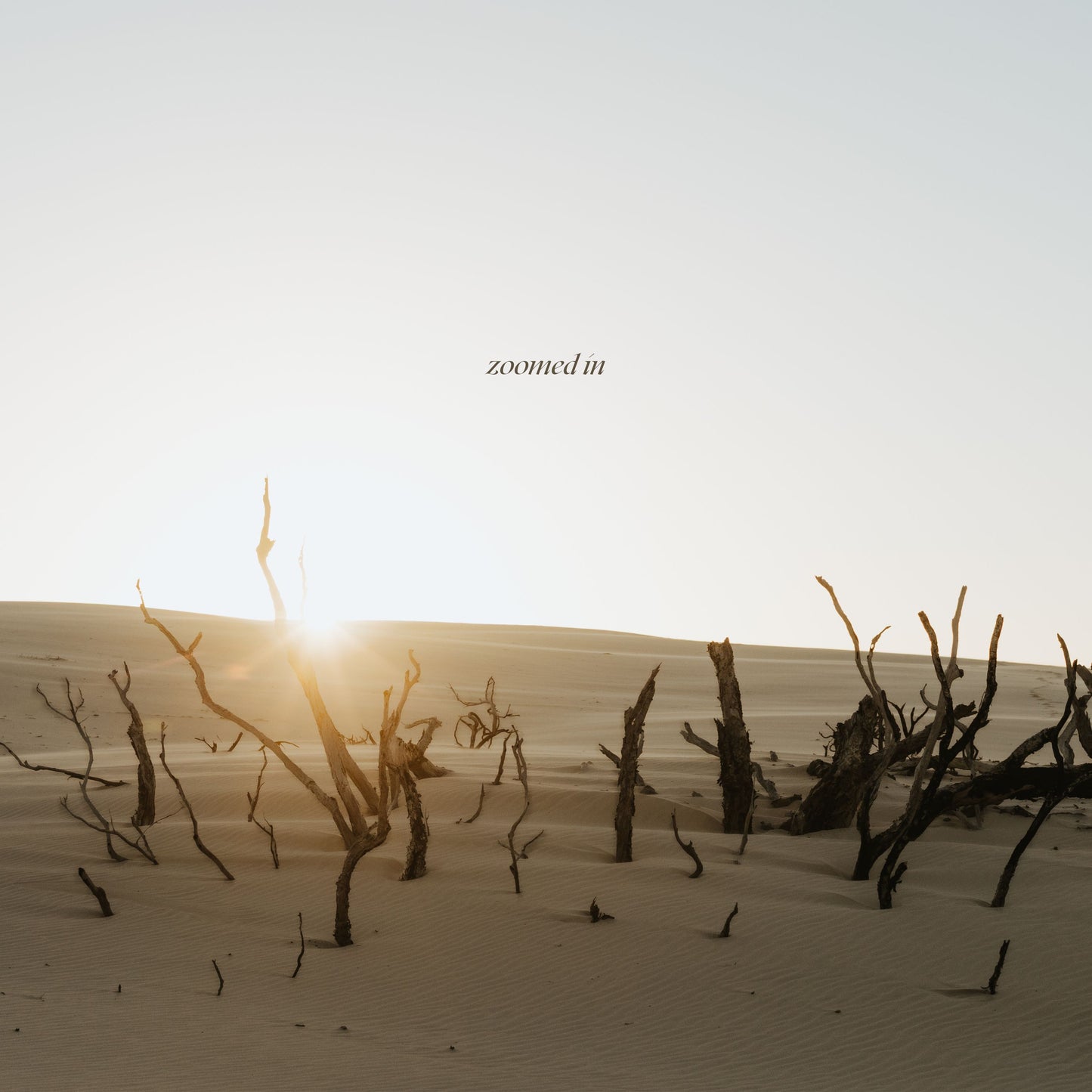 Dunes Embrace