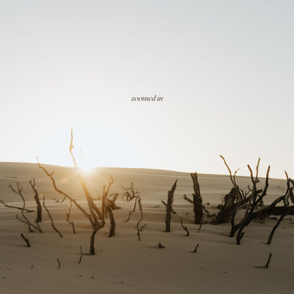 Dunes Embrace