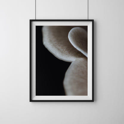 Emergence | Framed Exhibition Work