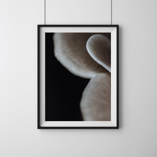 Emergence | Framed Exhibition Work