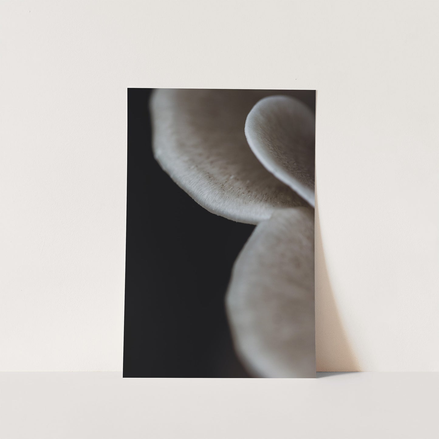 Emergence | Symbiosis | Fine Art Print
