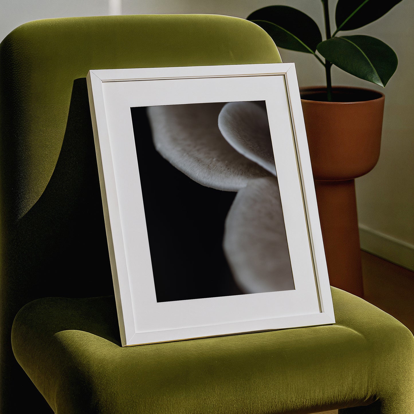 Emergence | Symbiosis | Fine Art Print