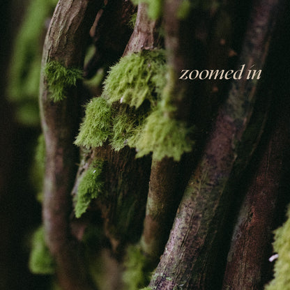 Interwoven | Symbiosis | Fine Art Print