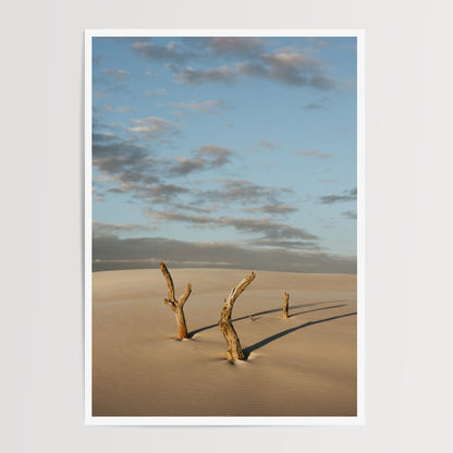 Echoes of the Dunes