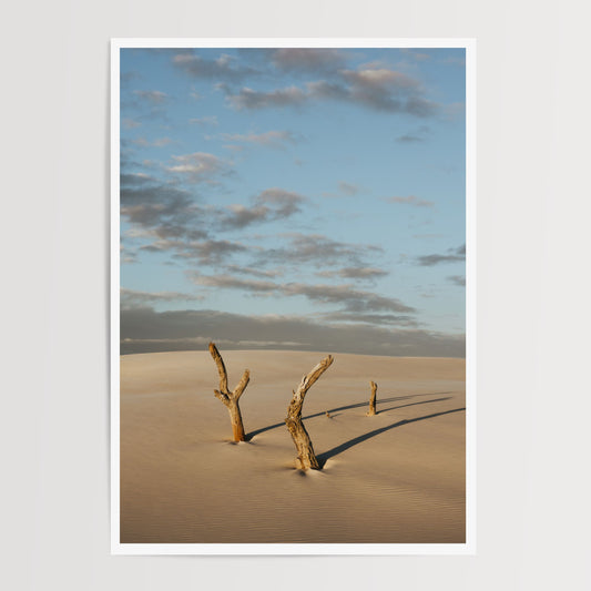 Echoes of the Dunes
