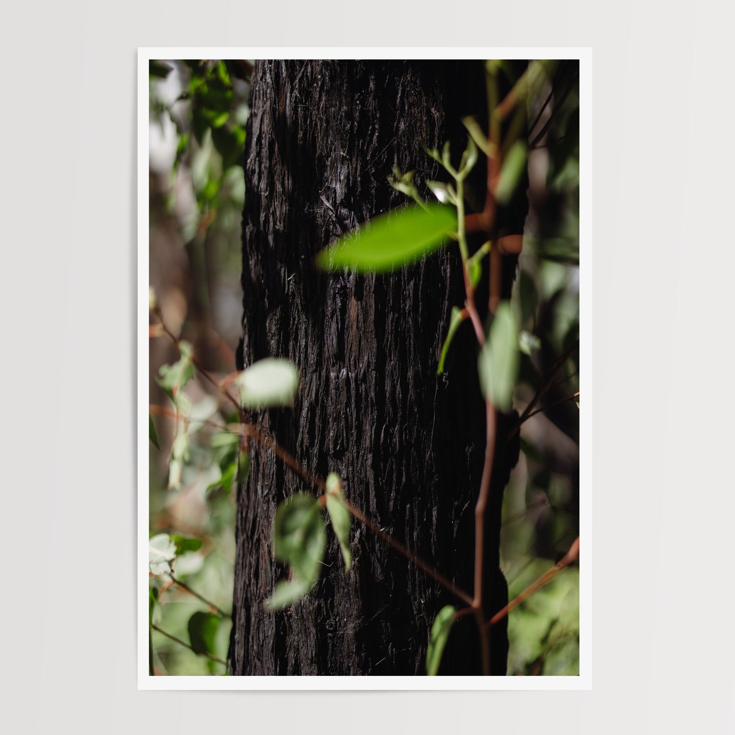 Rise Again Duo Print Set