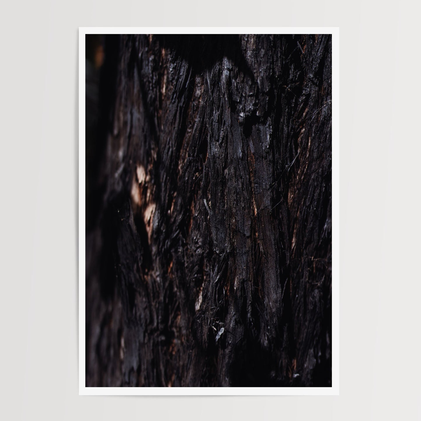 Rise Again Duo Print Set