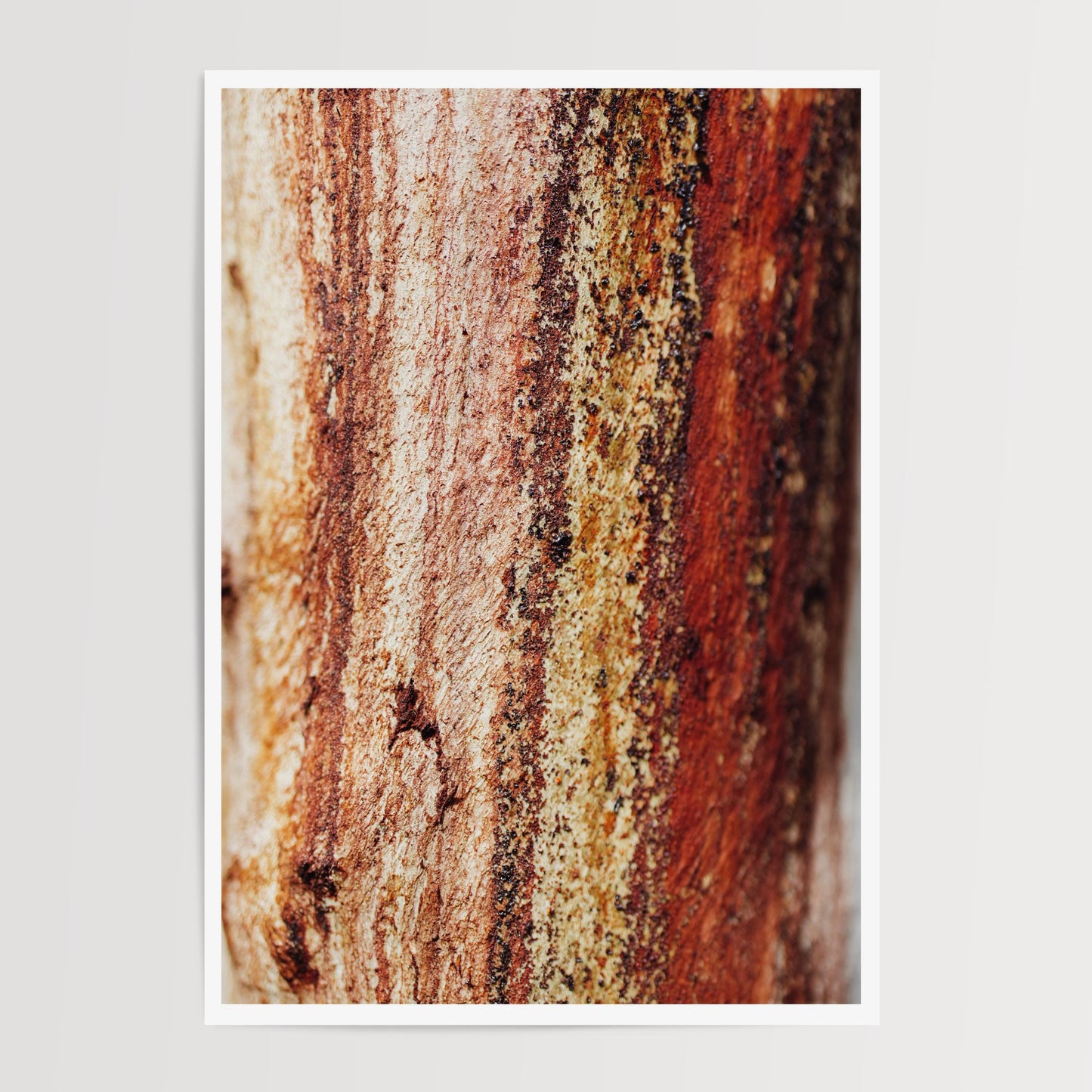 Australian Bush in Rebirth Duo Print Set