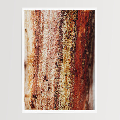 Australian Bush in Rebirth Duo Print Set