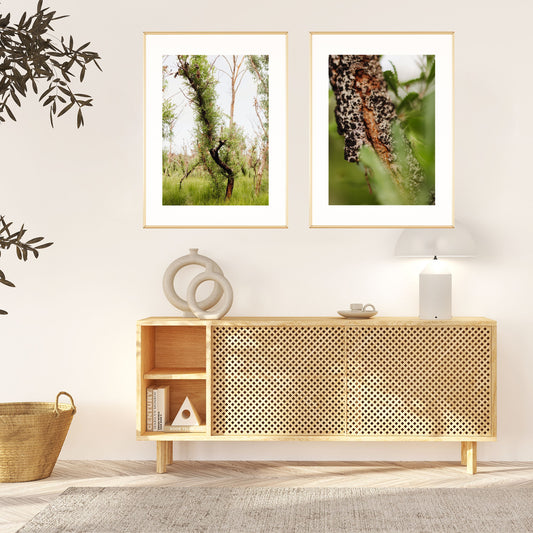 Healing Cycles Duo Print Set