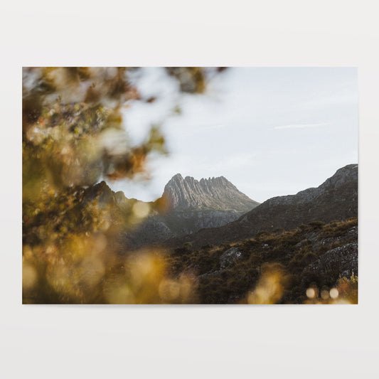 Last Light