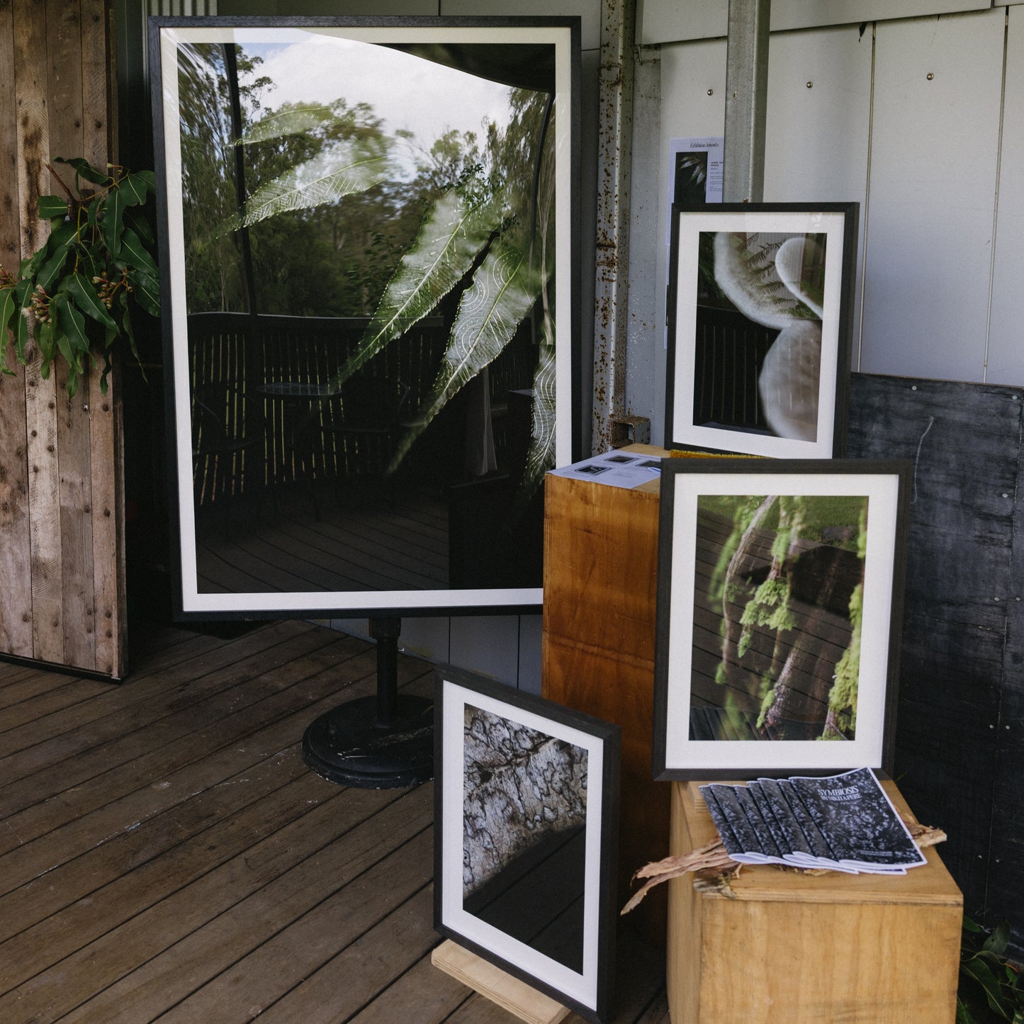 Emergence | Framed Exhibition Work