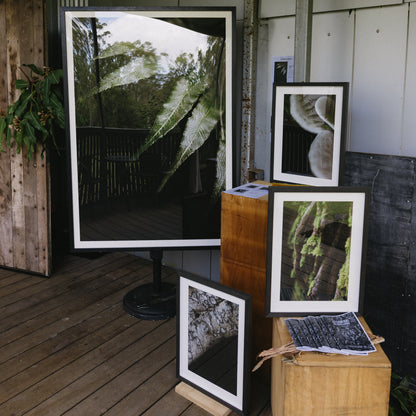 Emergence | Framed Exhibition Work