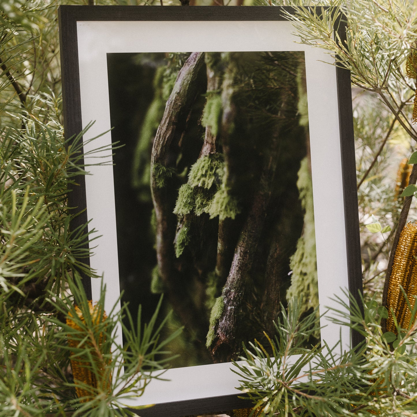 Interwoven | Framed Exhibition Work