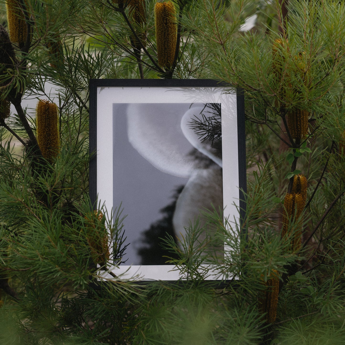 Emergence | Framed Exhibition Work