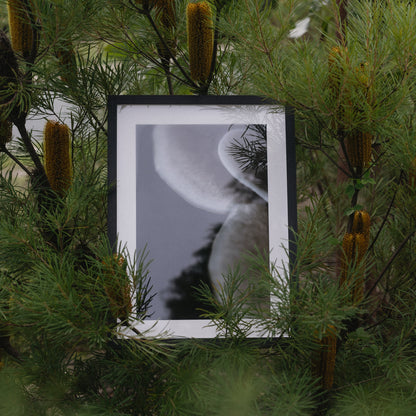 Emergence | Framed Exhibition Work