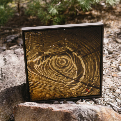 Ripple Origins | Exhibition Framed Canvas 40x40