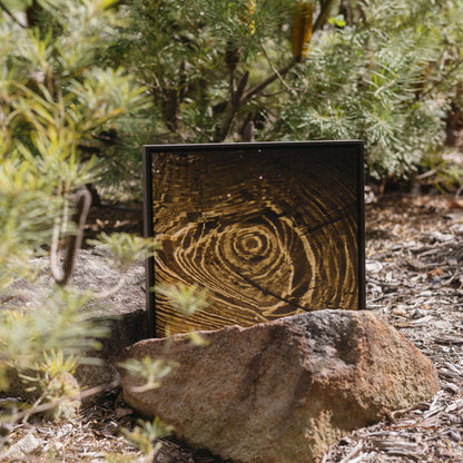 Ripple Origins | Exhibition Framed Canvas 40x40