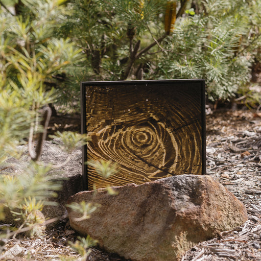 Ripple Origins | Exhibition Framed Canvas 40x40