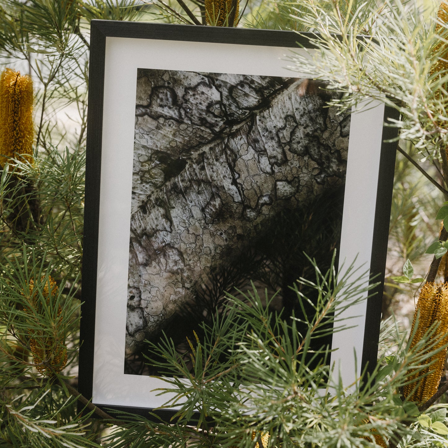 Surface Memory | Framed Exhibition Work