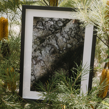 Surface Memory | Framed Exhibition Work