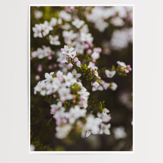 Season of Change