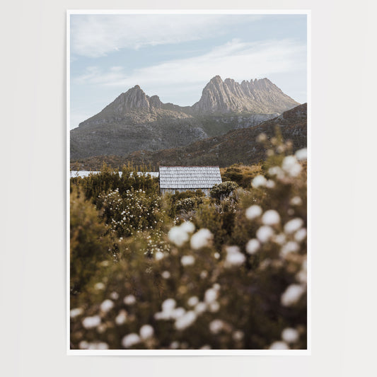 Cradle Mountain in Bloom