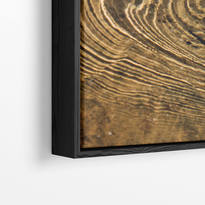 Ripple Origins | Exhibition Framed Canvas 40x40