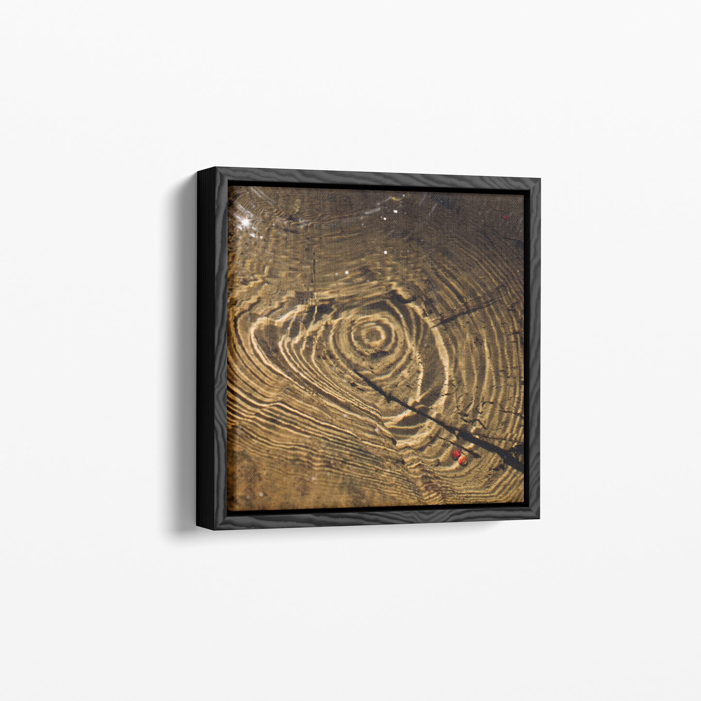 Ripple Origins | Exhibition Framed Canvas 40x40