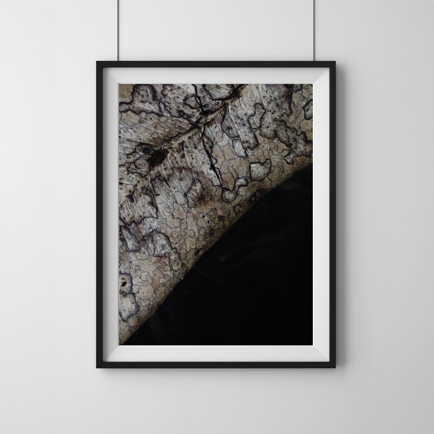 Surface Memory | Framed Exhibition Work