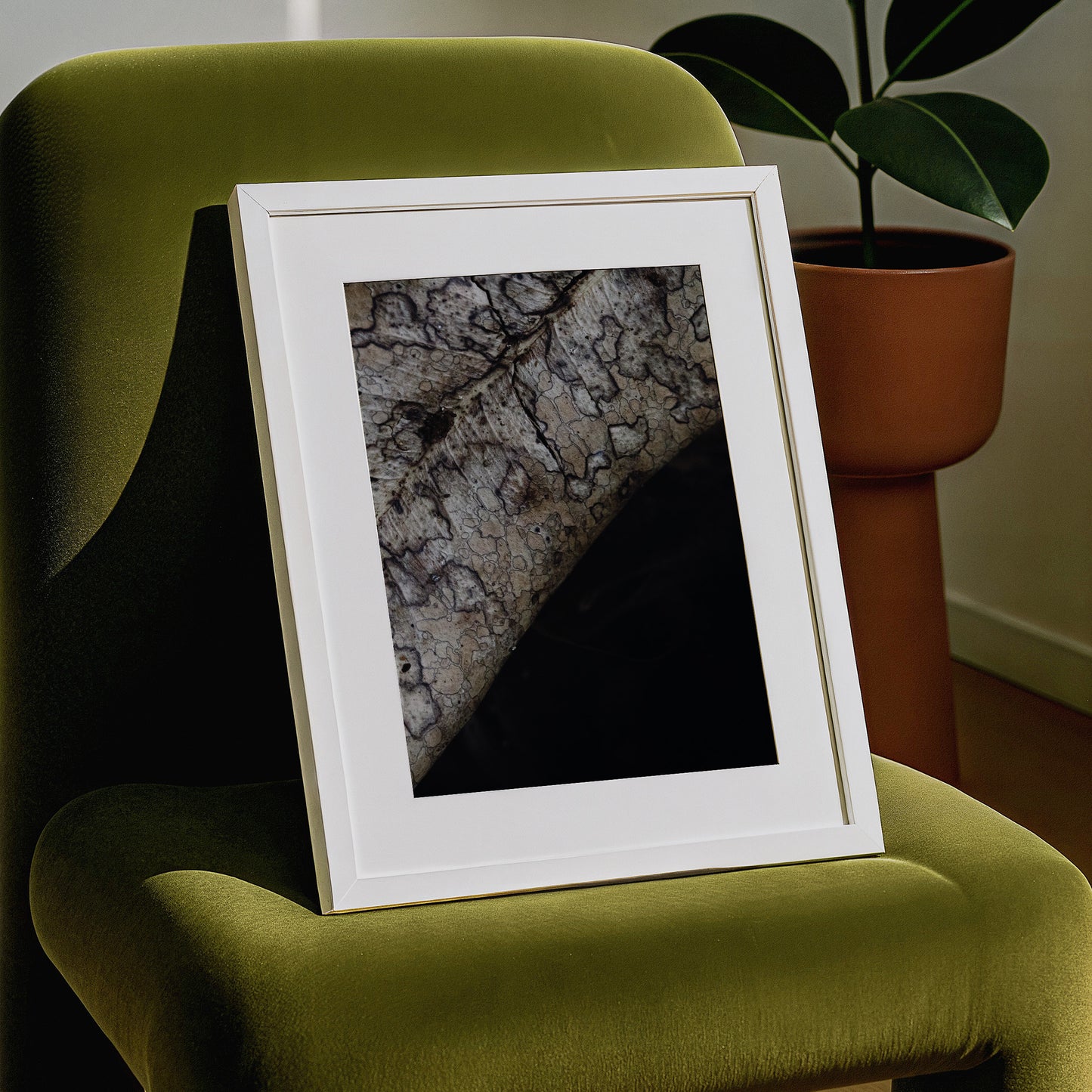 Surface Memory | Symbiosis | Fine Art Print