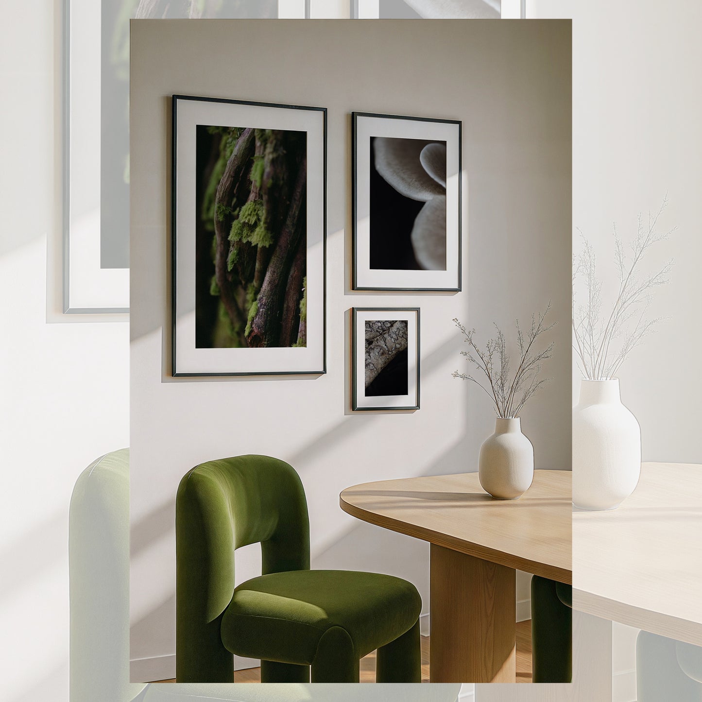 Symbiosis Trio Collection | 3 x Fine Art Prints