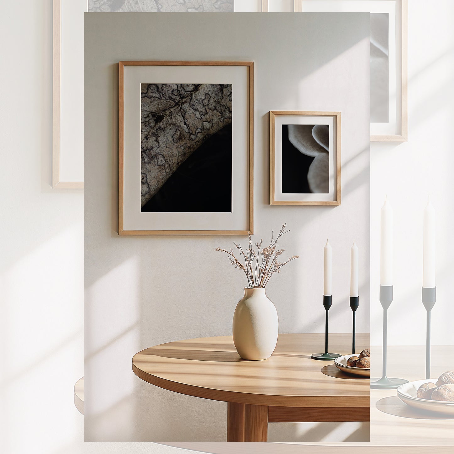 Symbiosis Trio Collection | 3 x Fine Art Prints